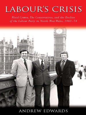 cover image of Labour's Crisis